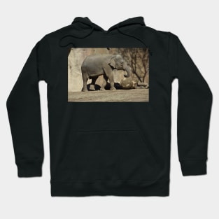 Asian Elephant Hoodie